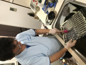 久留米市でハウスクリーニング