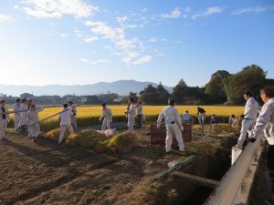 久留米市稲刈り㈱プロテクノ参加