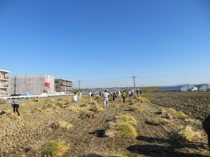 久留米市稲刈り㈱プロテクノ参加