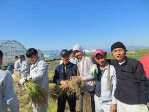 久留米市稲刈り㈱プロテクノ参加