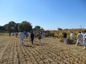 久留米市稲刈り㈱プロテクノ参加