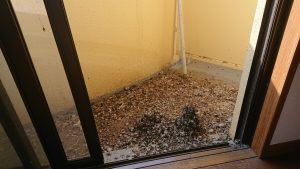 福岡市マンションベランダ清掃