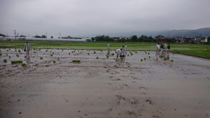 九州防水グループ田植え