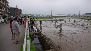 九州防水グループ田植え