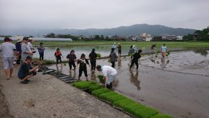 九州防水グループ田植え