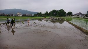 九州防水グループ田植え