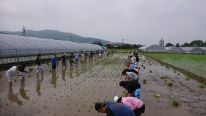 九州防水グループ田植え